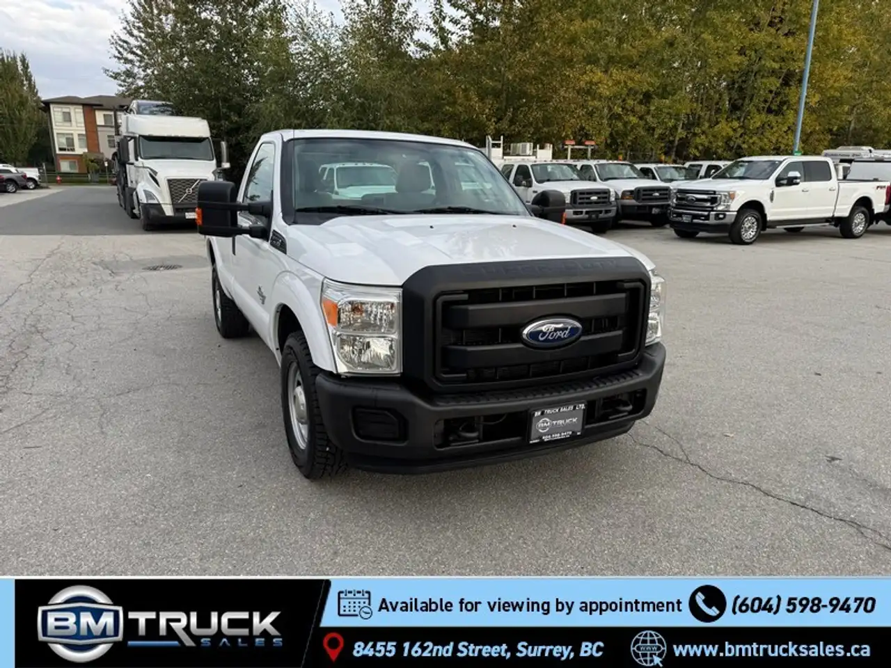 Ford F 250 fotografie Ford F 250