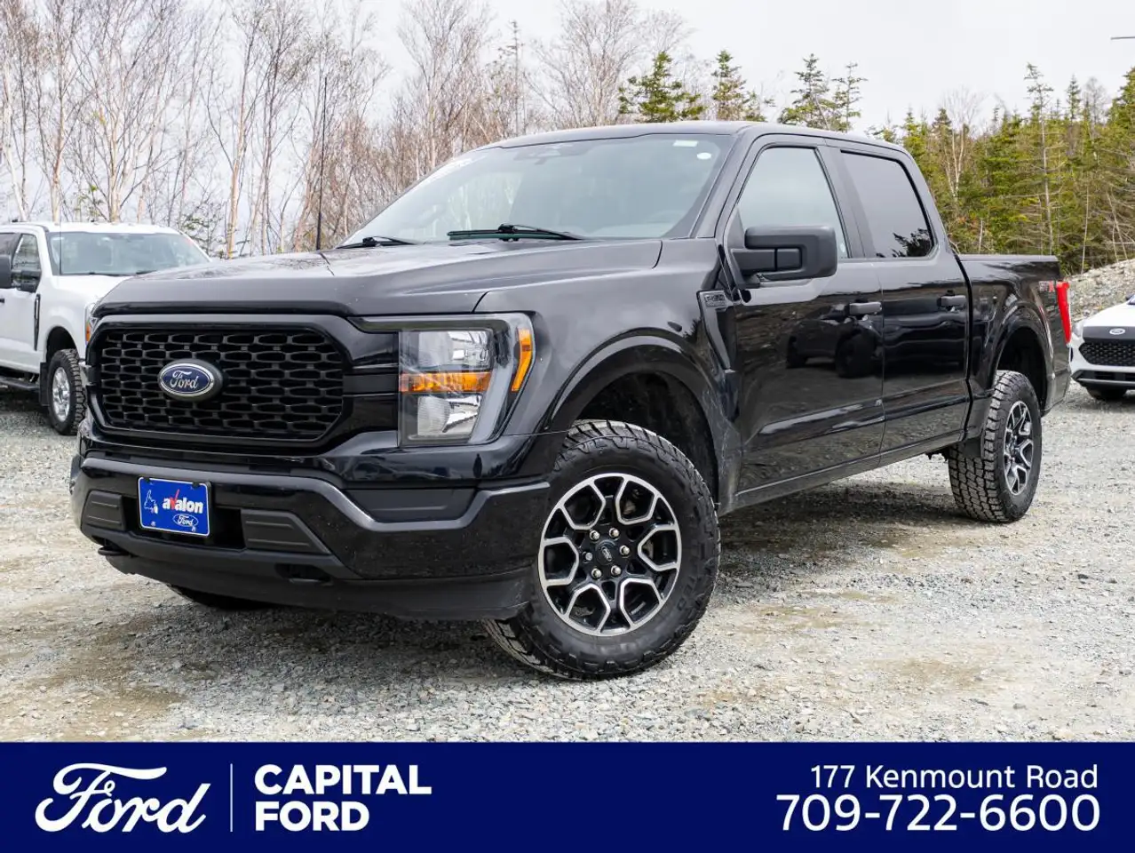 Ford F 150 fotografie Ford F 150