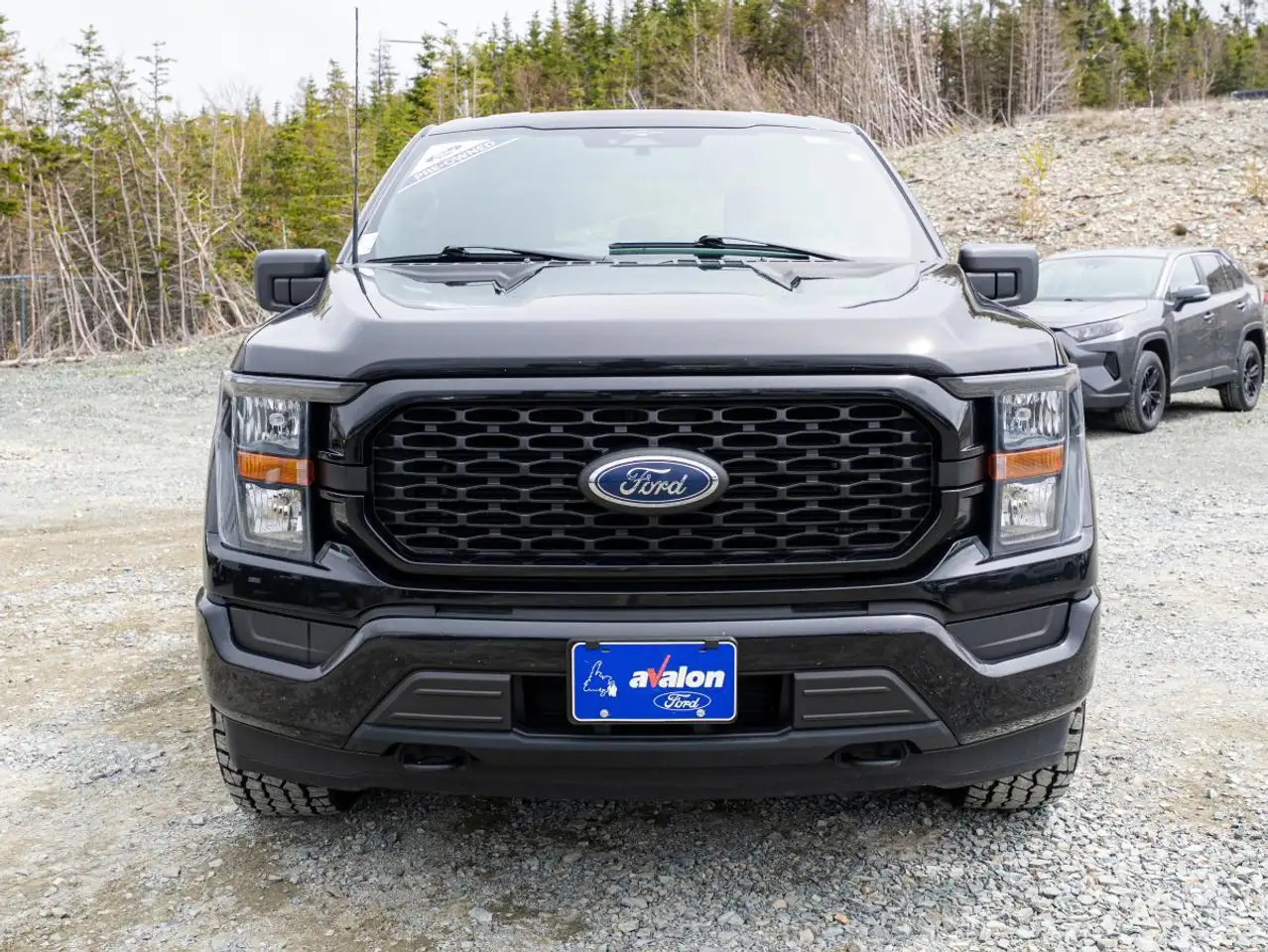 Ford F 150 fotografie Ford F 150