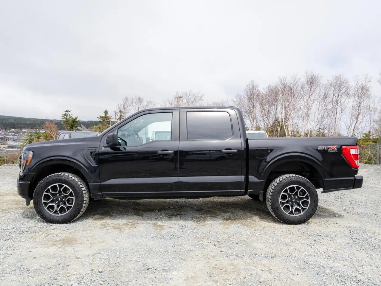 Ford F 150 fotografie Ford F 150