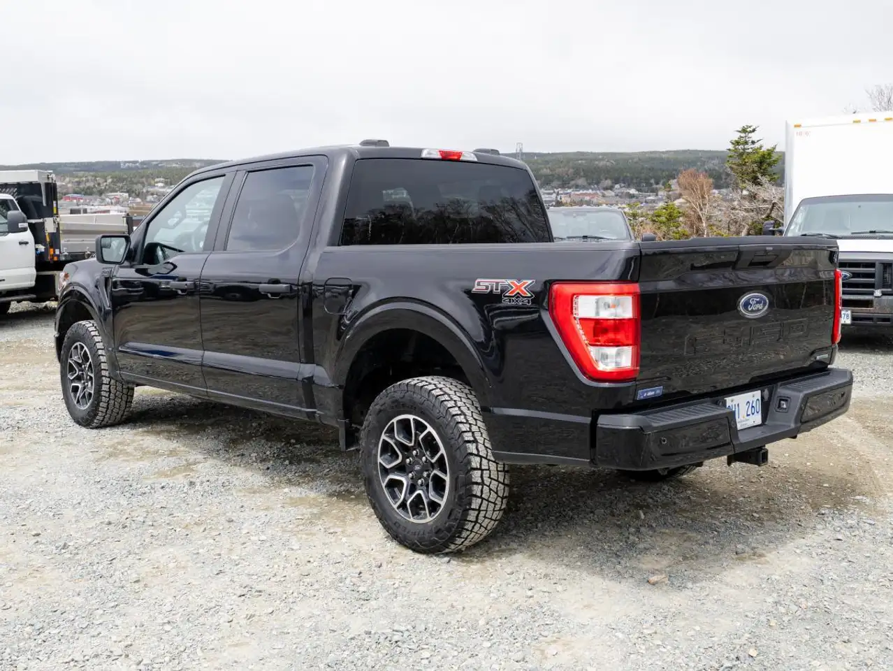 Ford F 150 fotografie Ford F 150