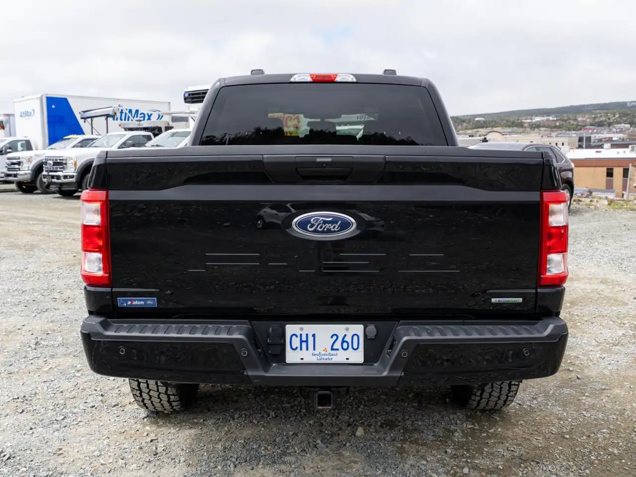 Ford F 150 fotografie Ford F 150