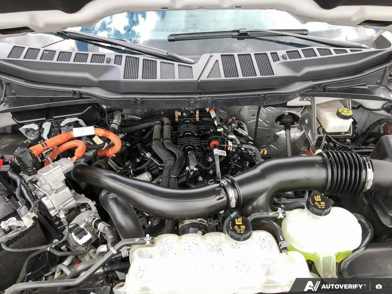 Ford F 150 photo Ford F 150