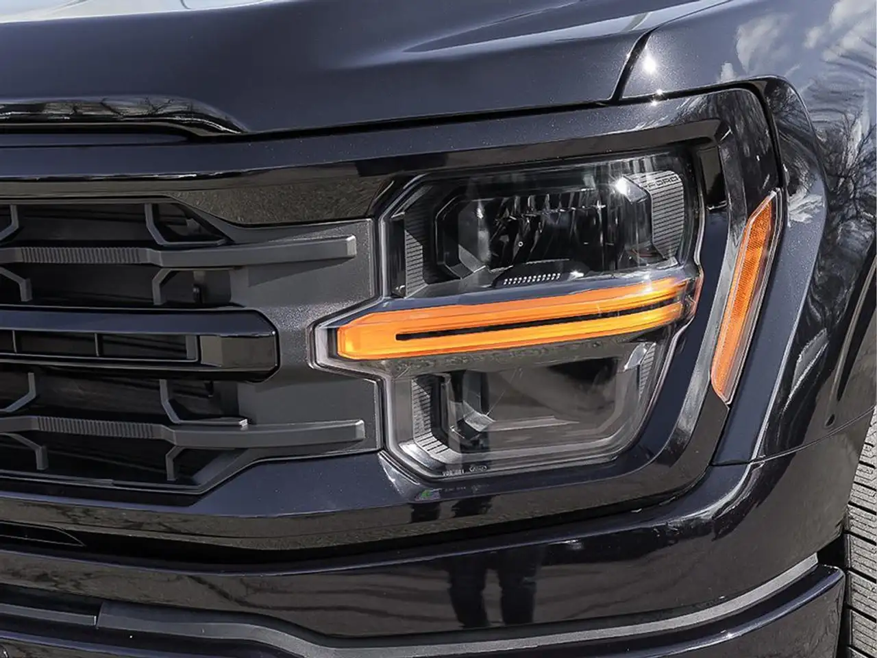 Ford F 150 fotografie Ford F 150