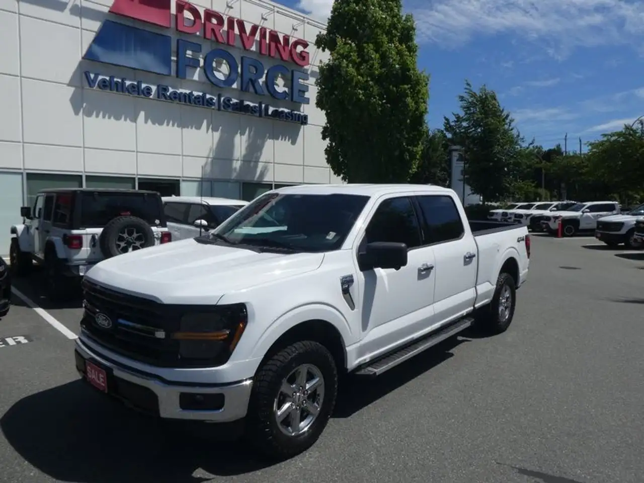 2024 Ford F 150