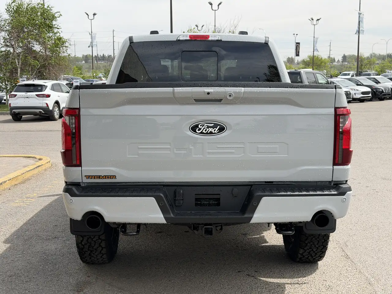 Ford F 150 снимка Ford F 150