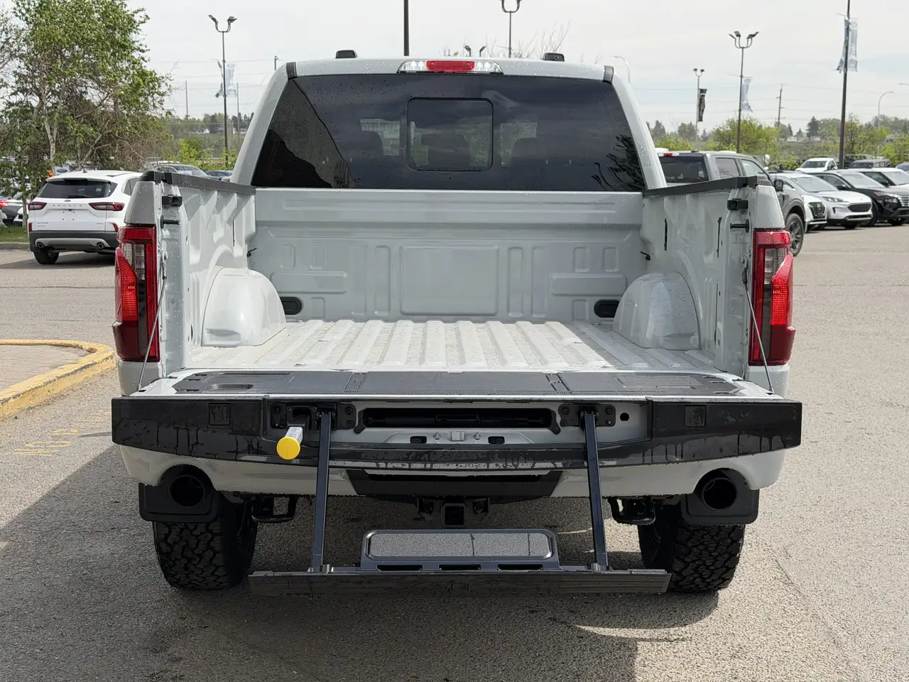 Ford F 150 снимка Ford F 150