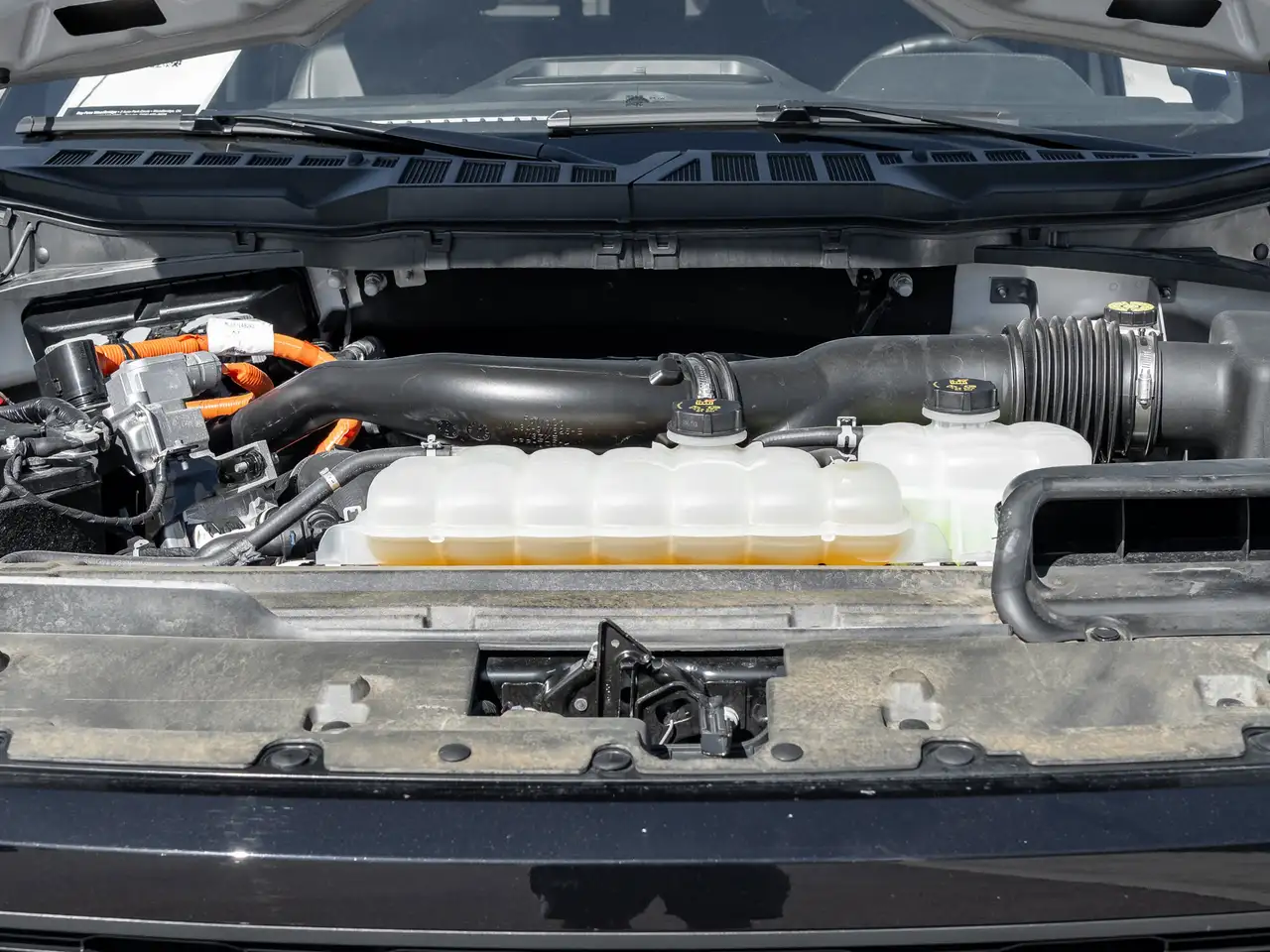 Ford F 150 fotografie Ford F 150