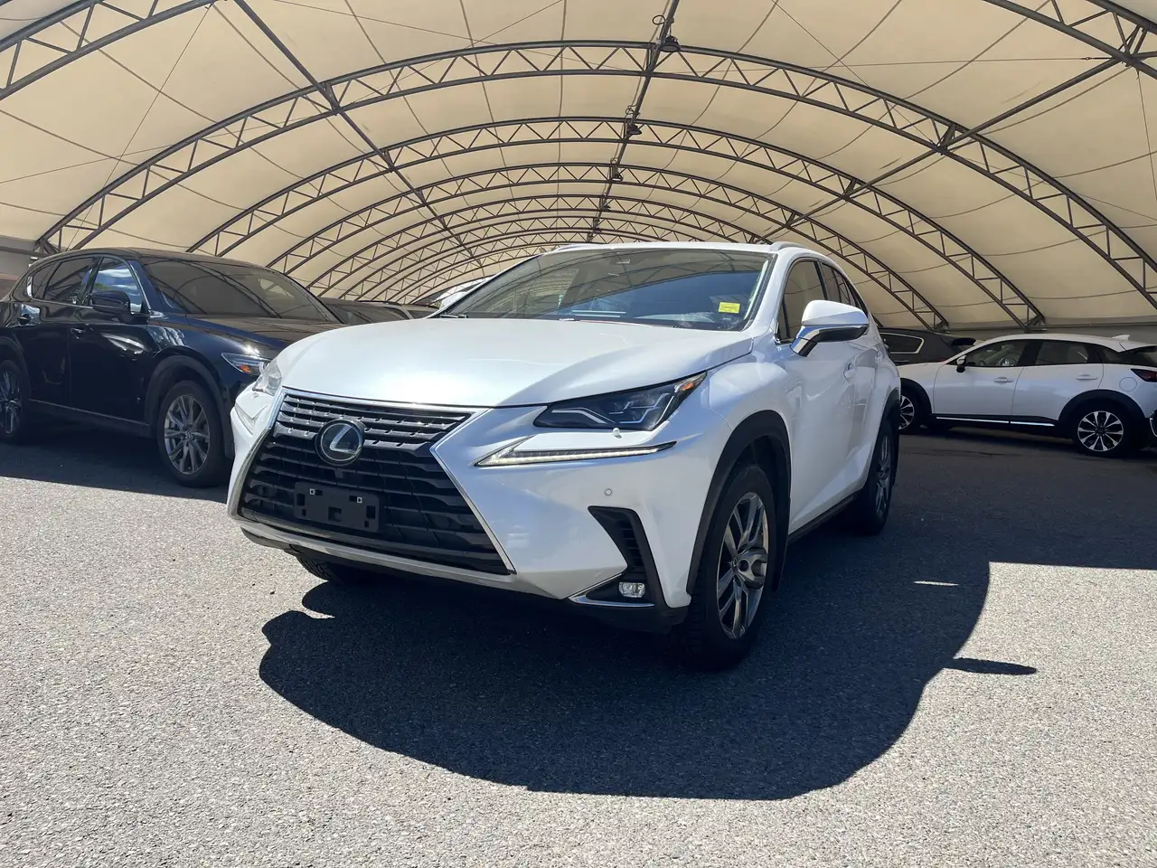 2020 Lexus NX