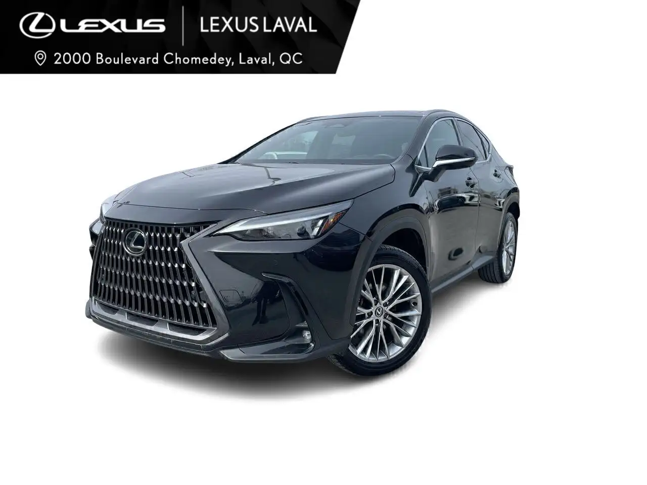 2024 Lexus NX