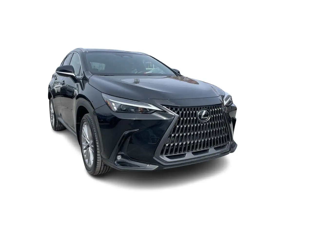 Lexus NX fotografie Lexus NX