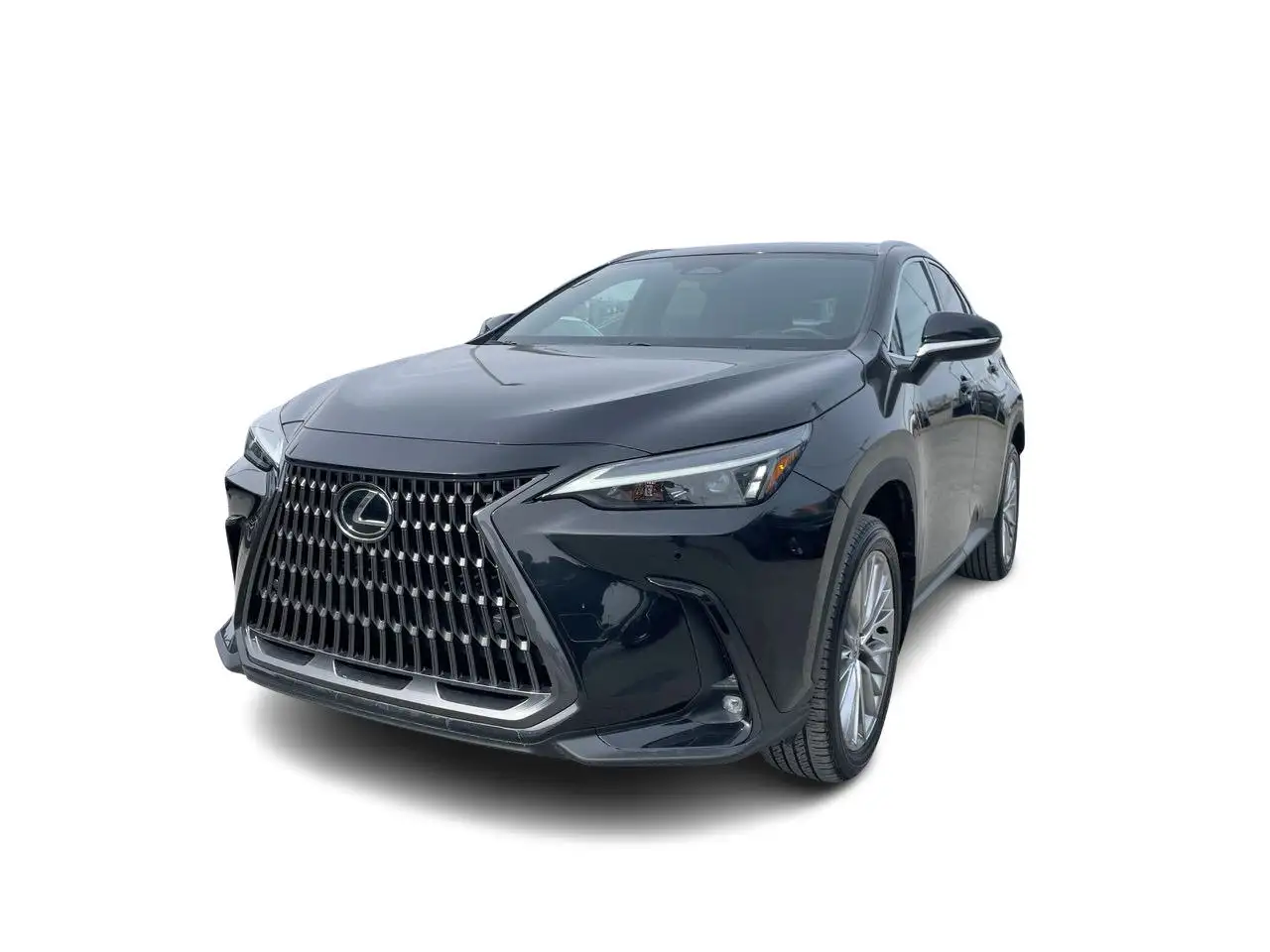 Lexus NX fotografie Lexus NX