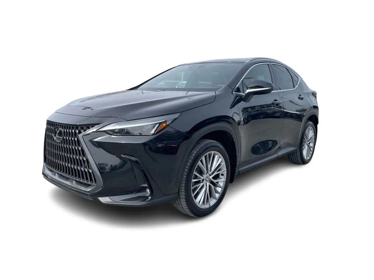 Lexus NX fotografie Lexus NX