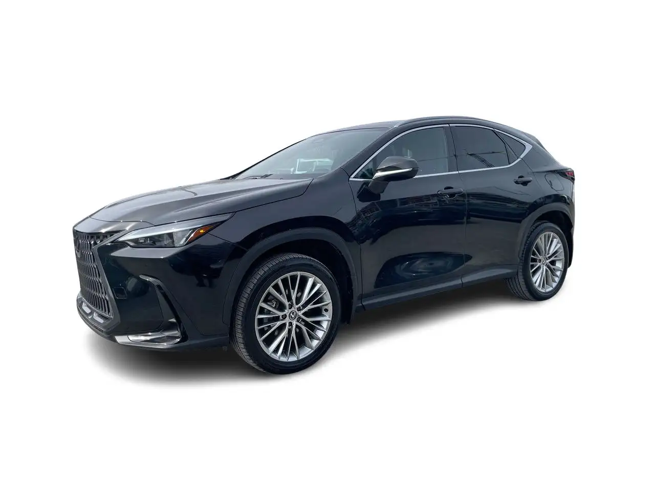 Lexus NX fotografie Lexus NX