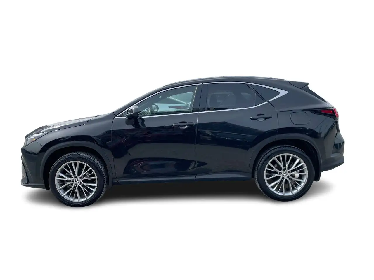 Lexus NX fotografie Lexus NX