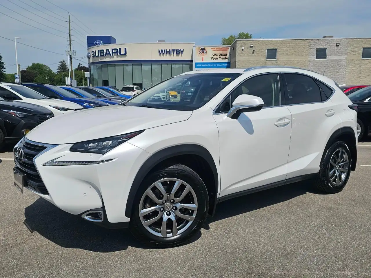Lexus NX fotografie Lexus NX