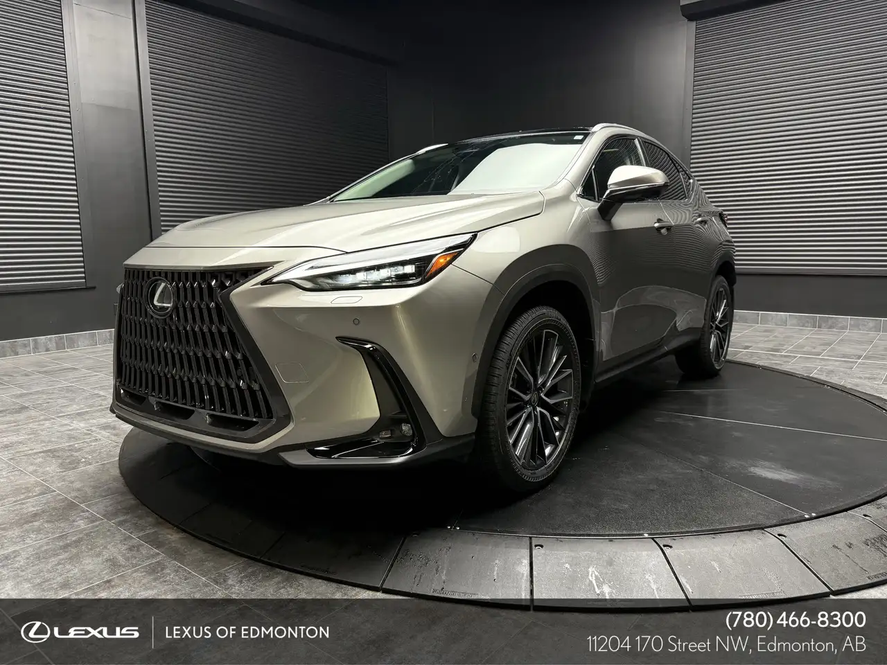 2026 Lexus NX