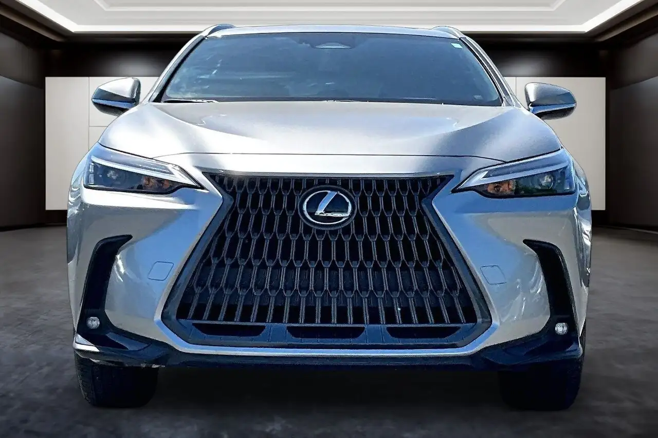 Lexus NX photo Lexus NX