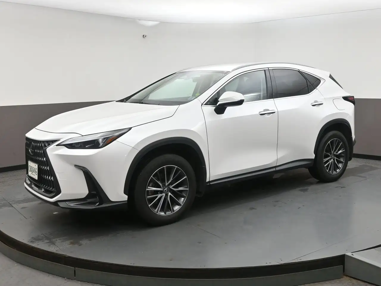 Lexus NX photo Lexus NX