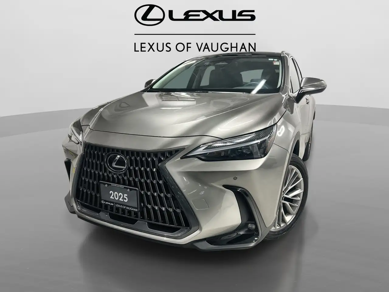 2025 Lexus NX
