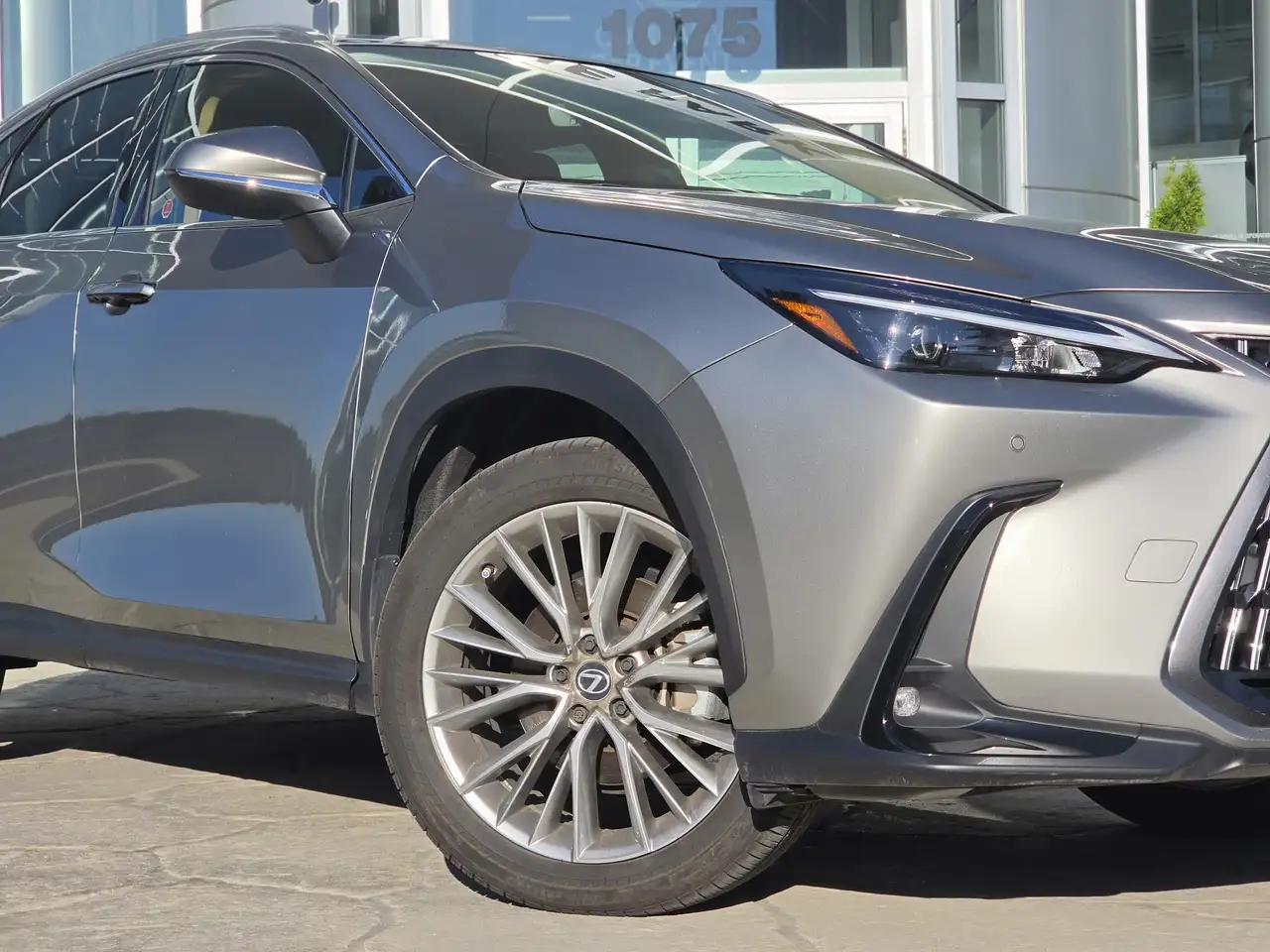 Lexus NX fotografie Lexus NX