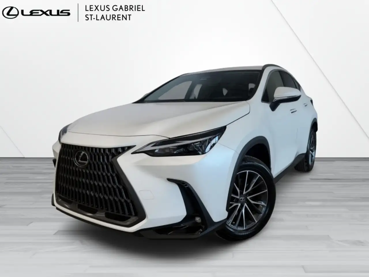 2024 Lexus NX