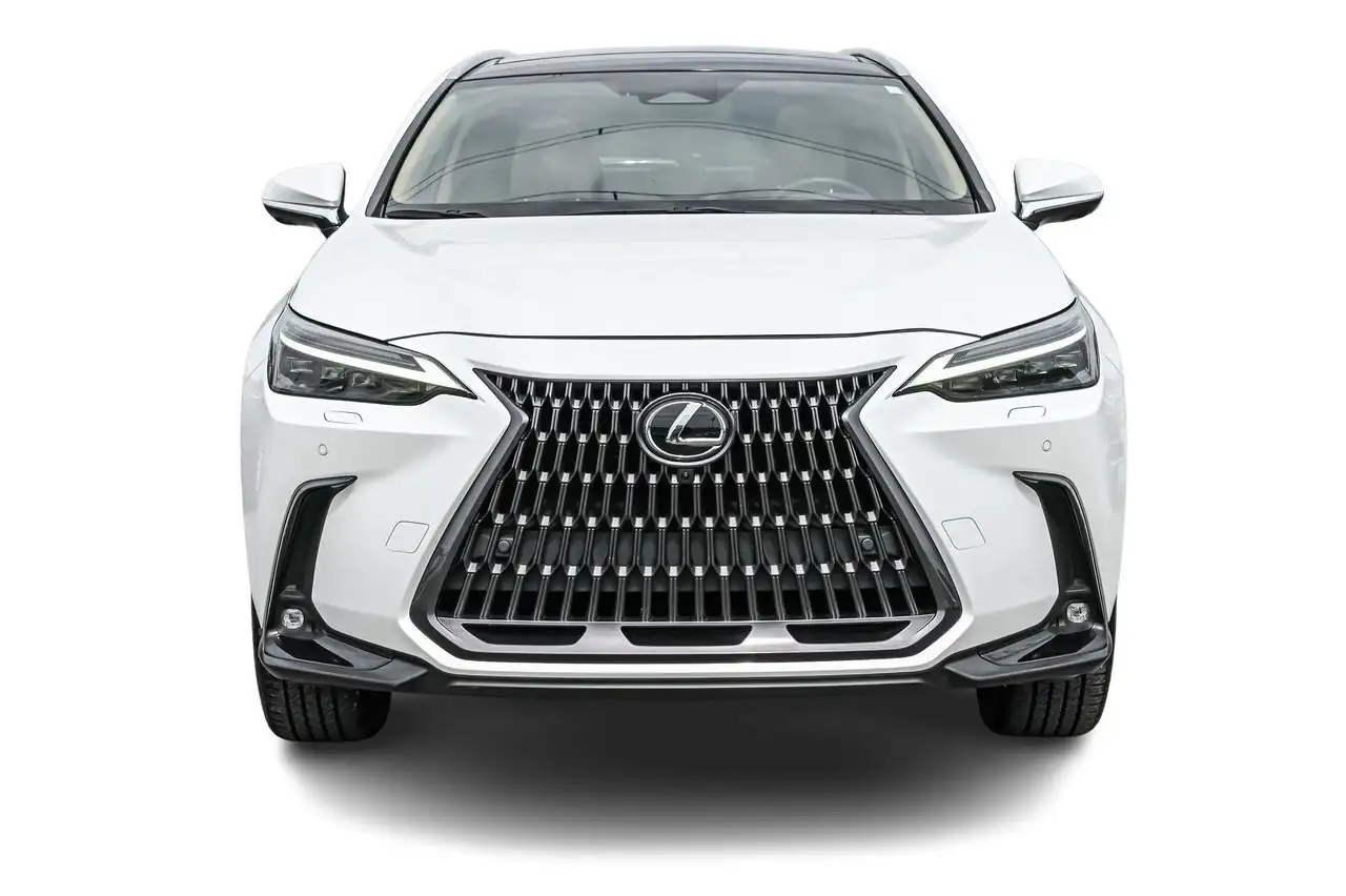 2022 Lexus NX