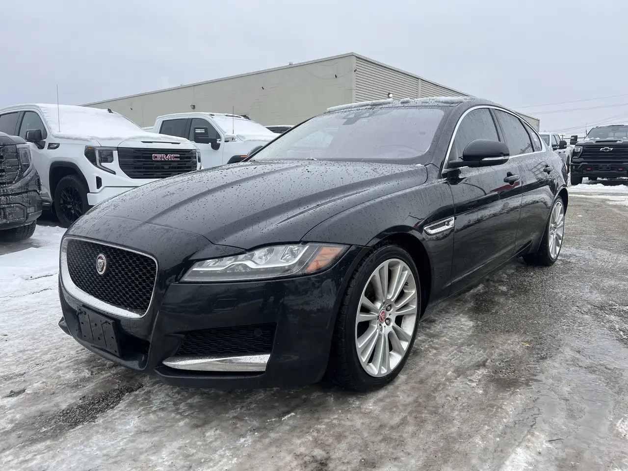 Jaguar XF fotografie Jaguar XF