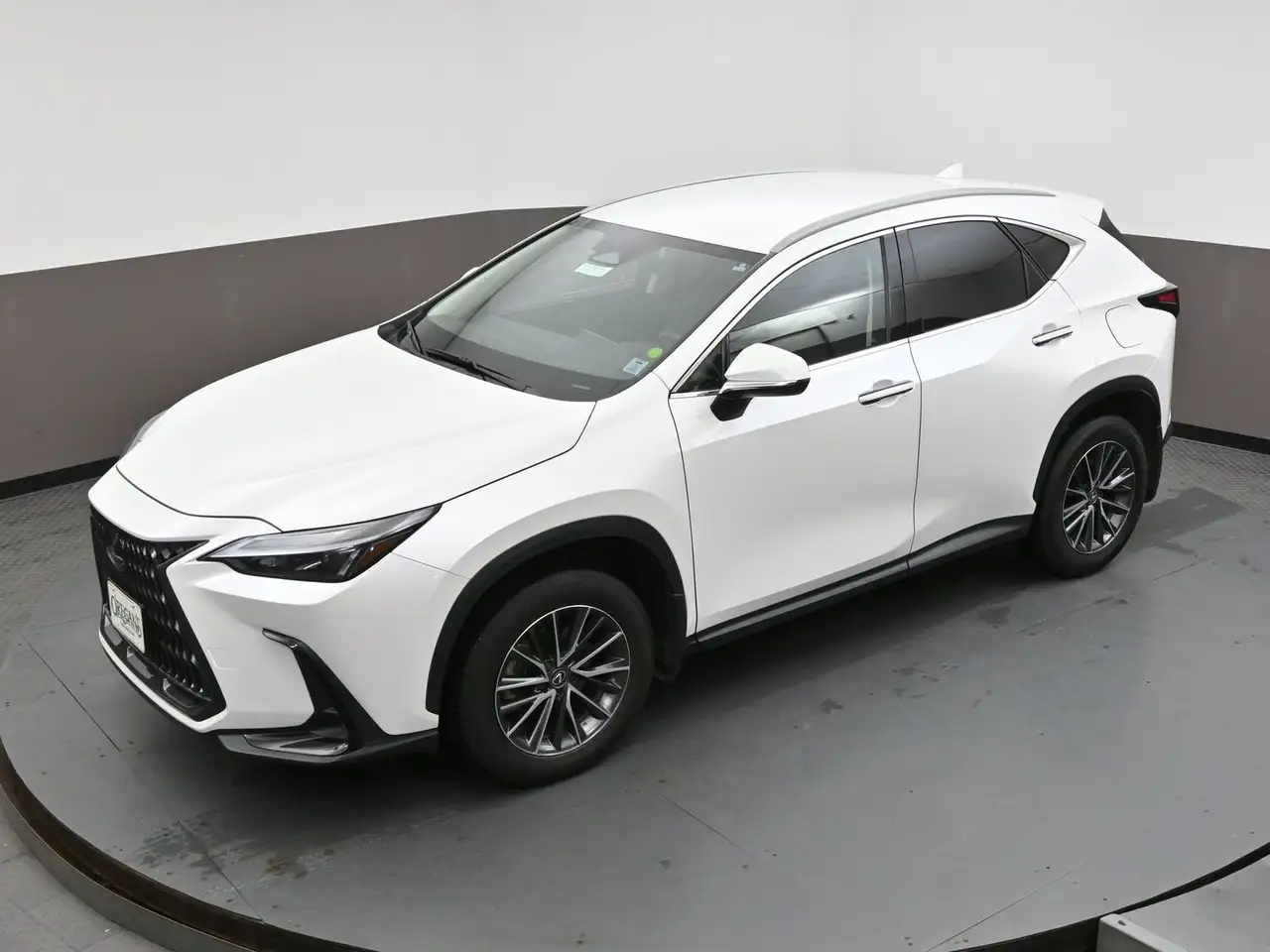 Lexus NX photo Lexus NX