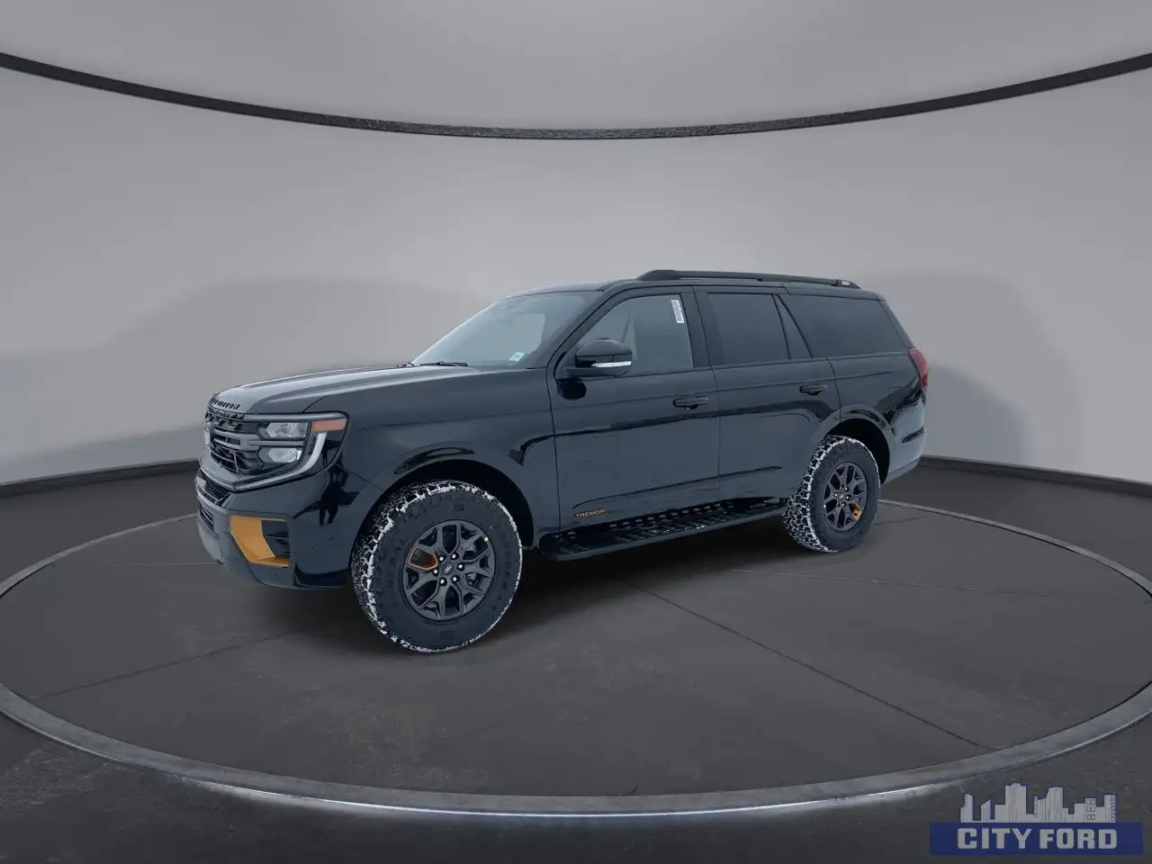 Ford Expedition снимка Ford Expedition