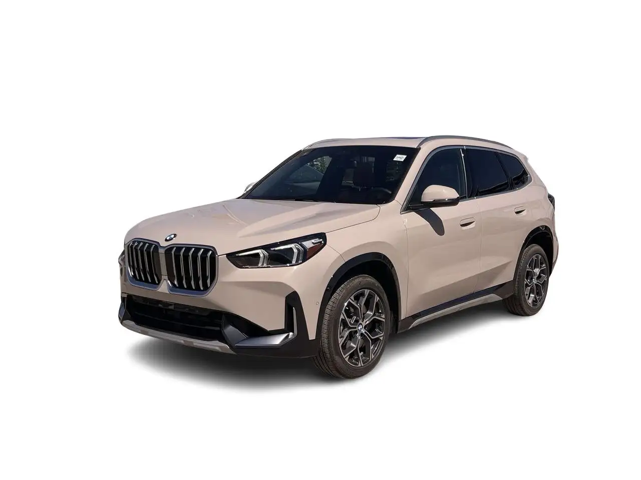 BMW X1 photo BMW X1