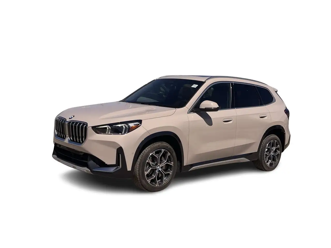 BMW X1 photo BMW X1