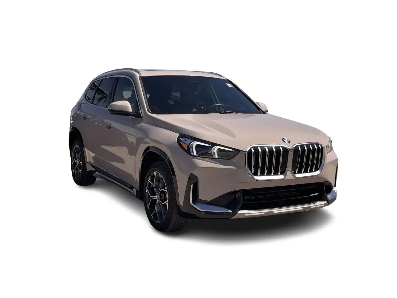 BMW X1 photo BMW X1