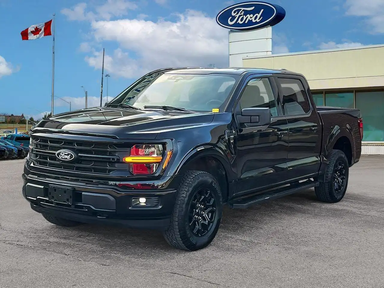 Ford F 150 fotografie Ford F 150