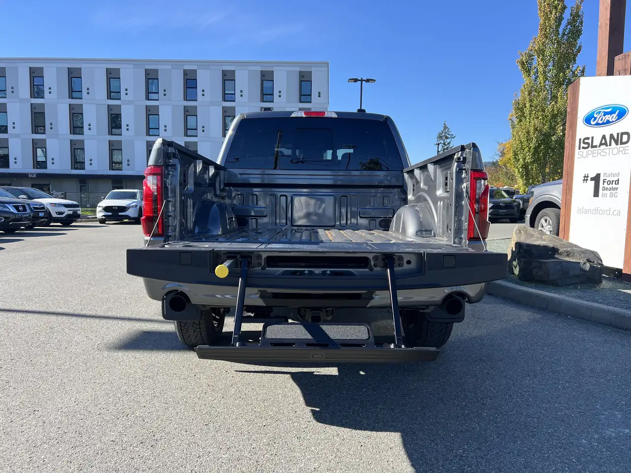 Ford F 150 снимка Ford F 150