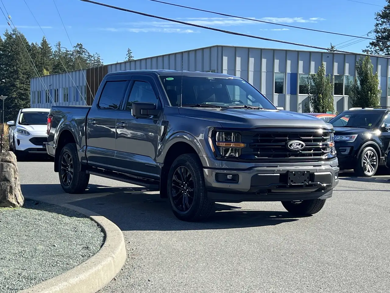 Ford F 150 снимка Ford F 150
