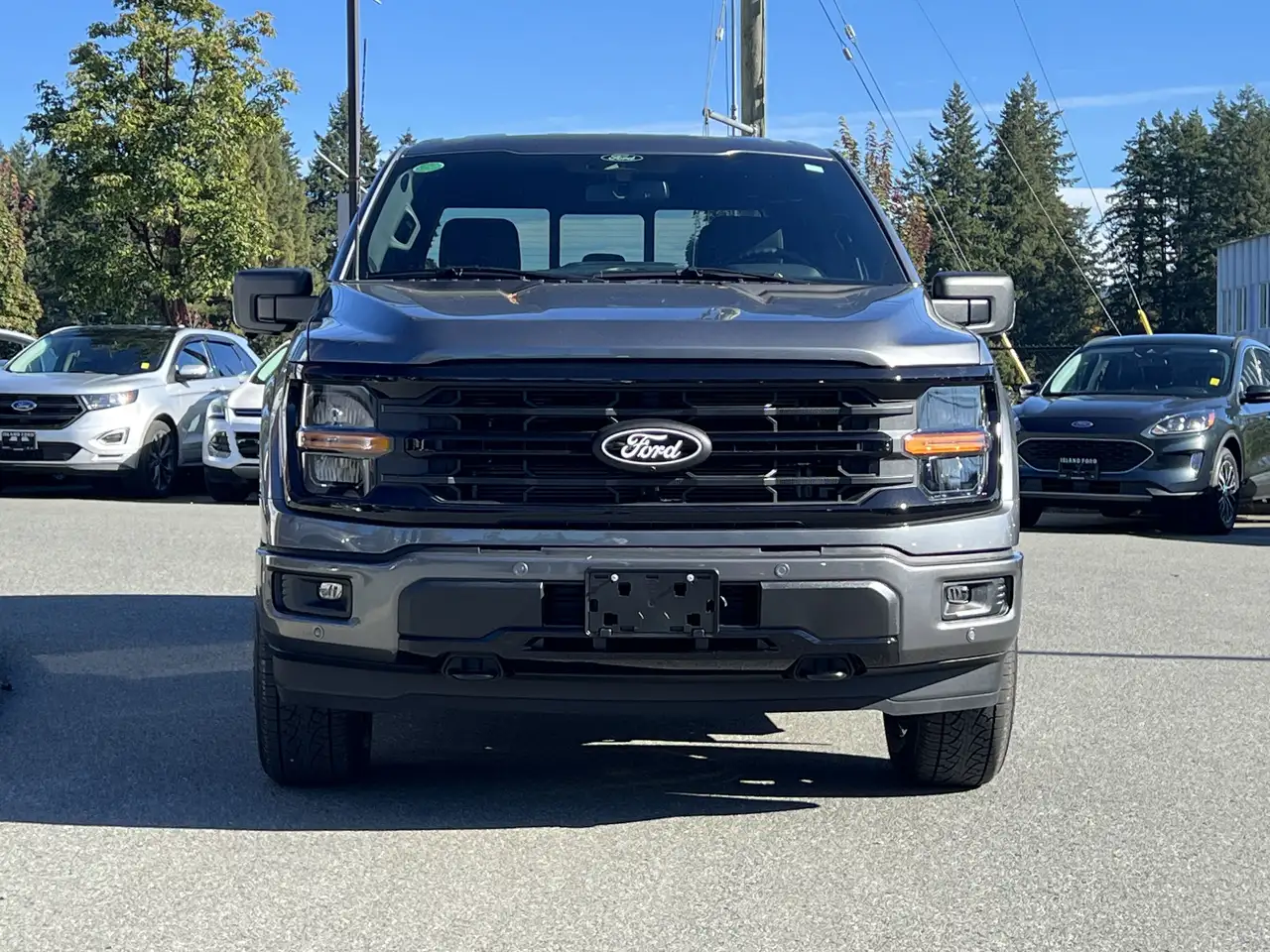 Ford F 150 снимка Ford F 150