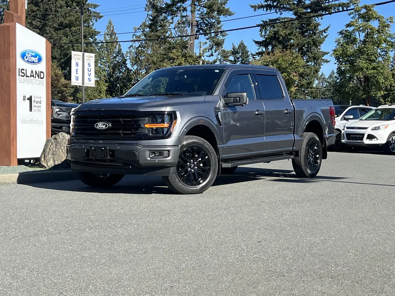 Ford F 150 снимка Ford F 150
