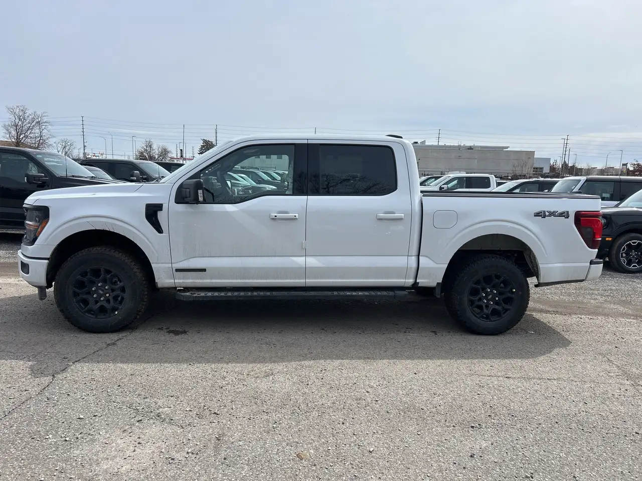 2026 Ford F 150