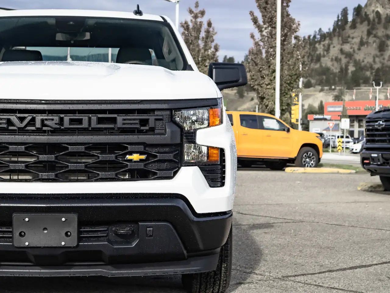 Chevrolet Silverado 1500 photo Chevrolet Silverado 1500