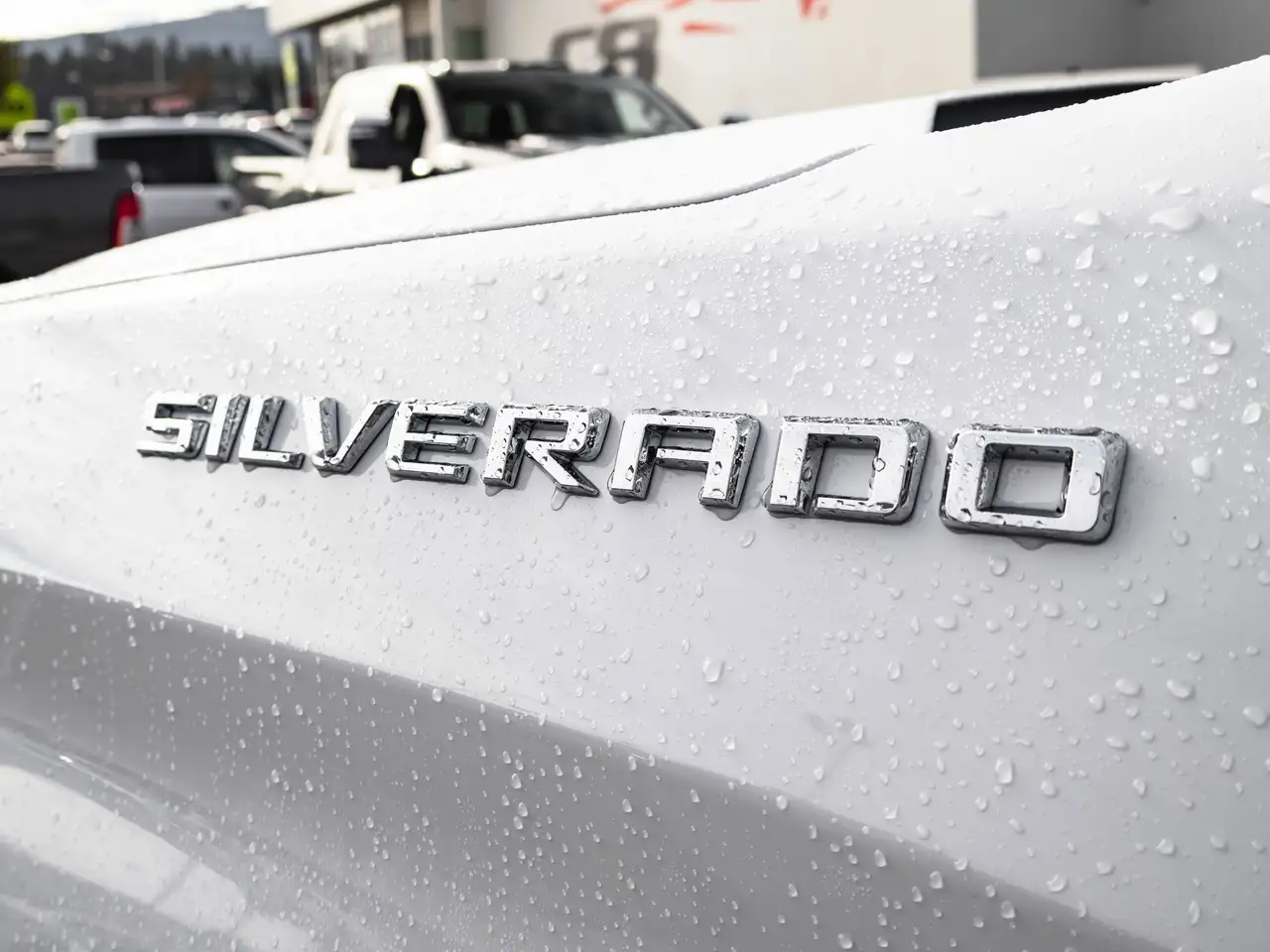 Chevrolet Silverado 1500 photo Chevrolet Silverado 1500