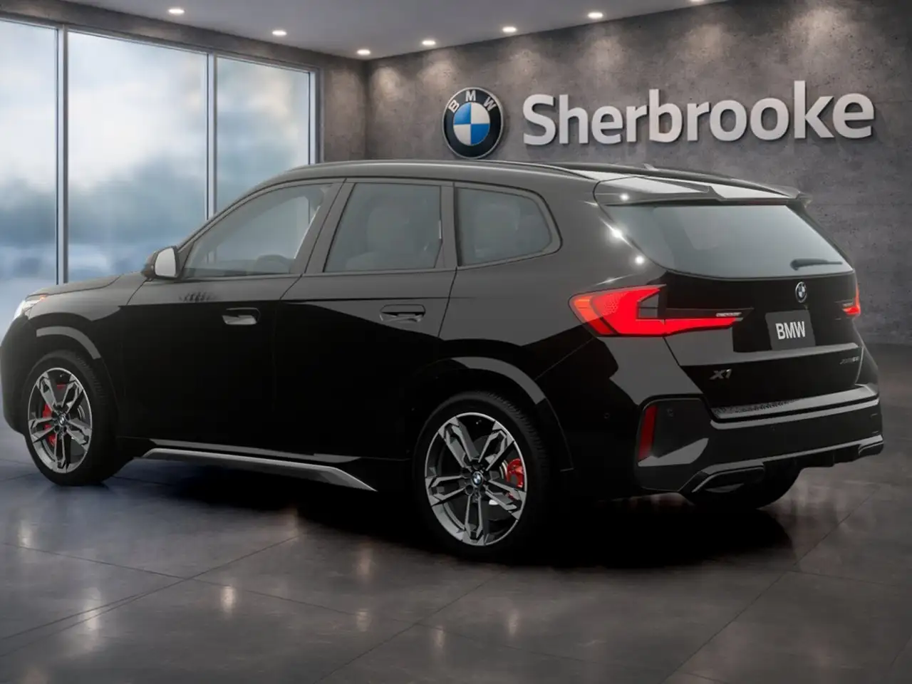 BMW X1 photo BMW X1