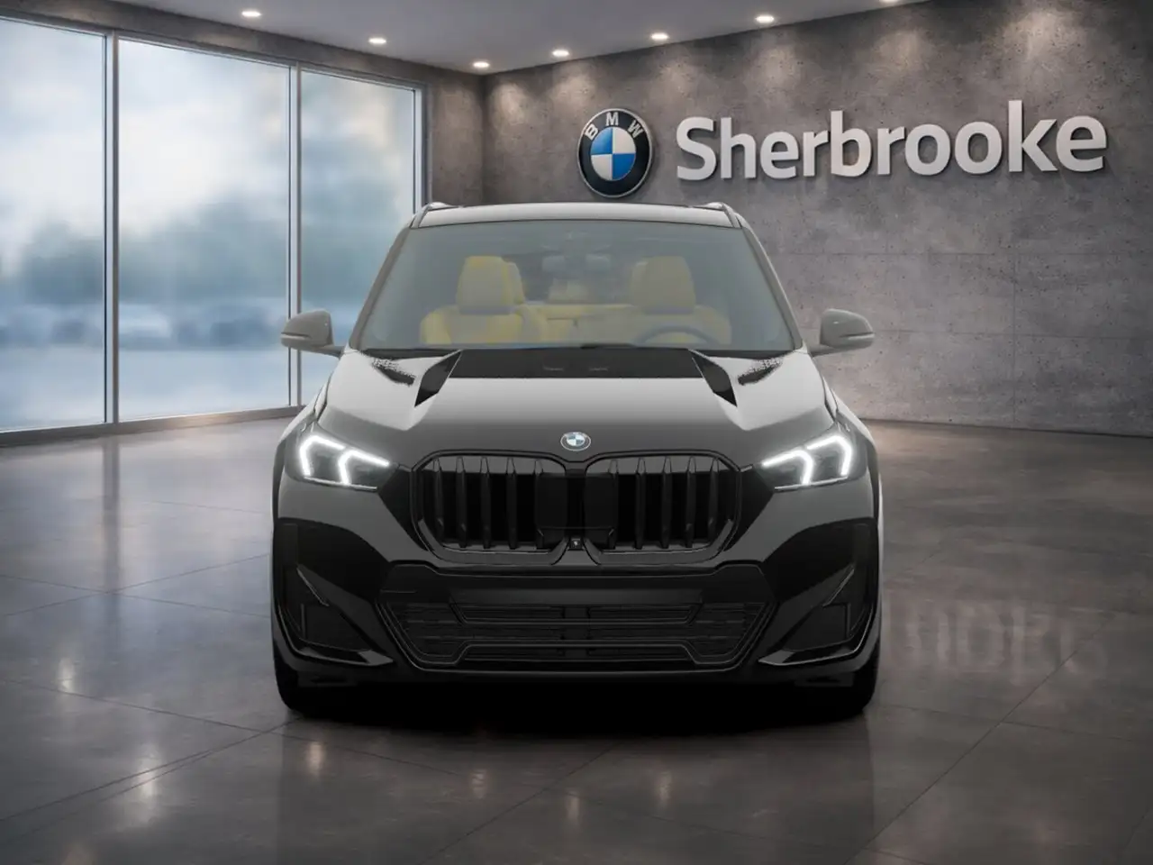 BMW X1 photo BMW X1