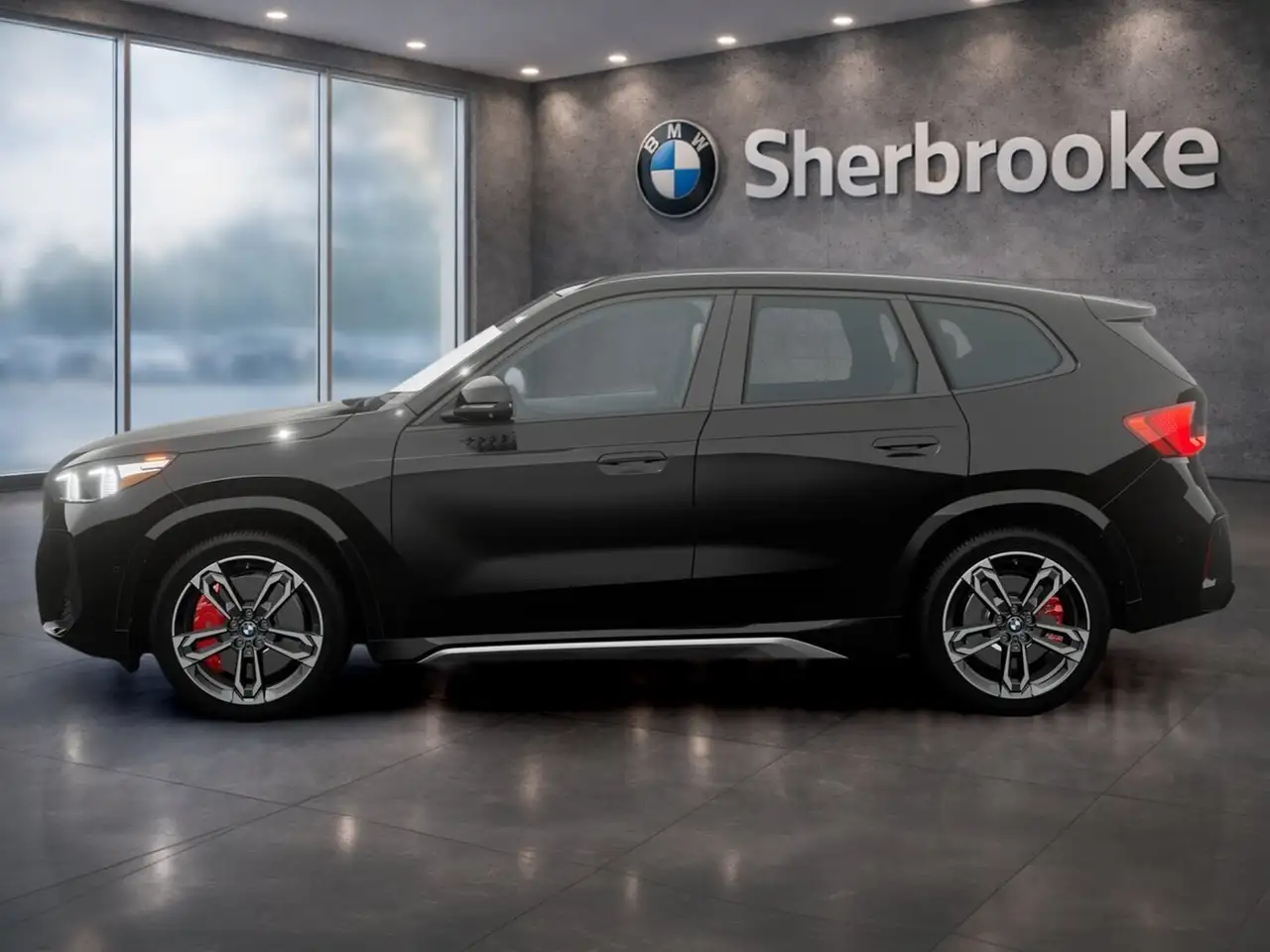 BMW X1 photo BMW X1