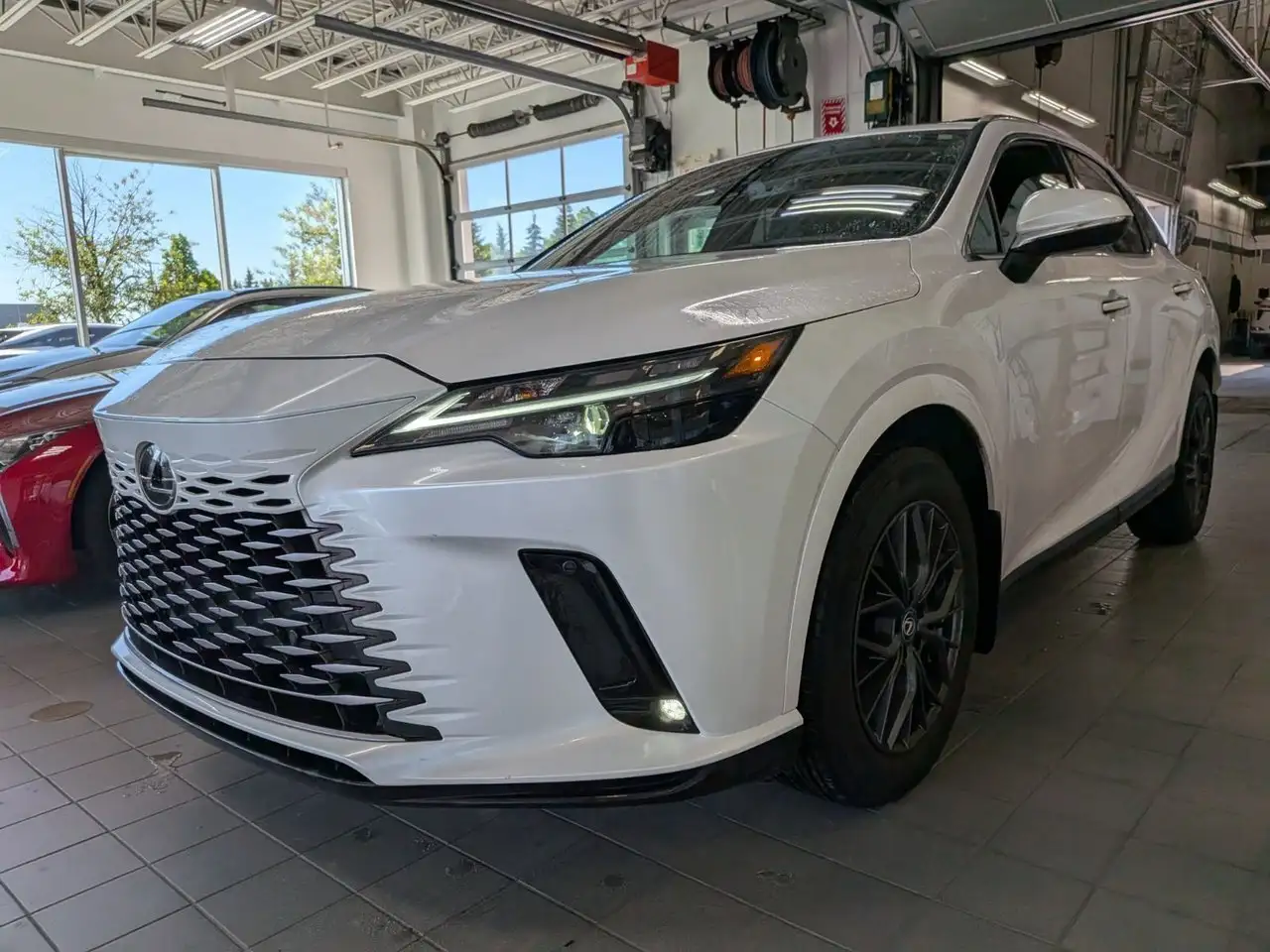 2024 Lexus RX