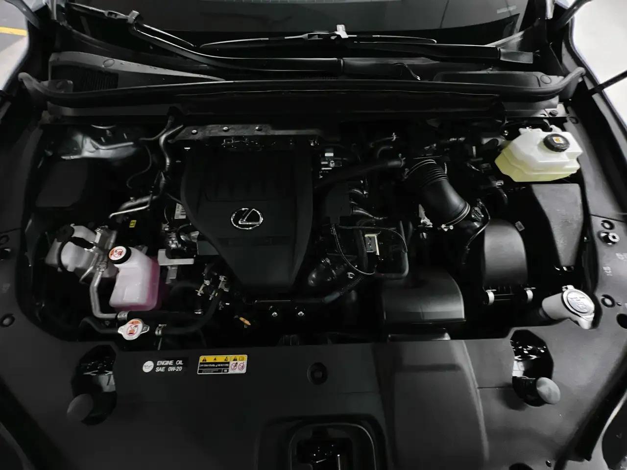 Lexus RX photo Lexus RX