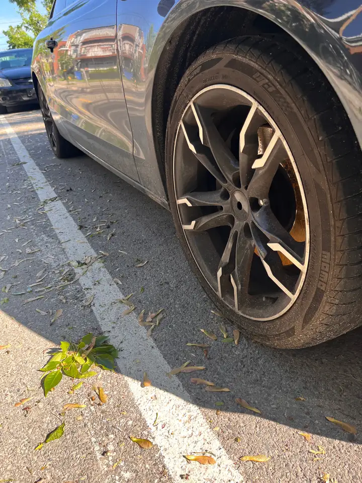 Audi A5 снимка Audi A5