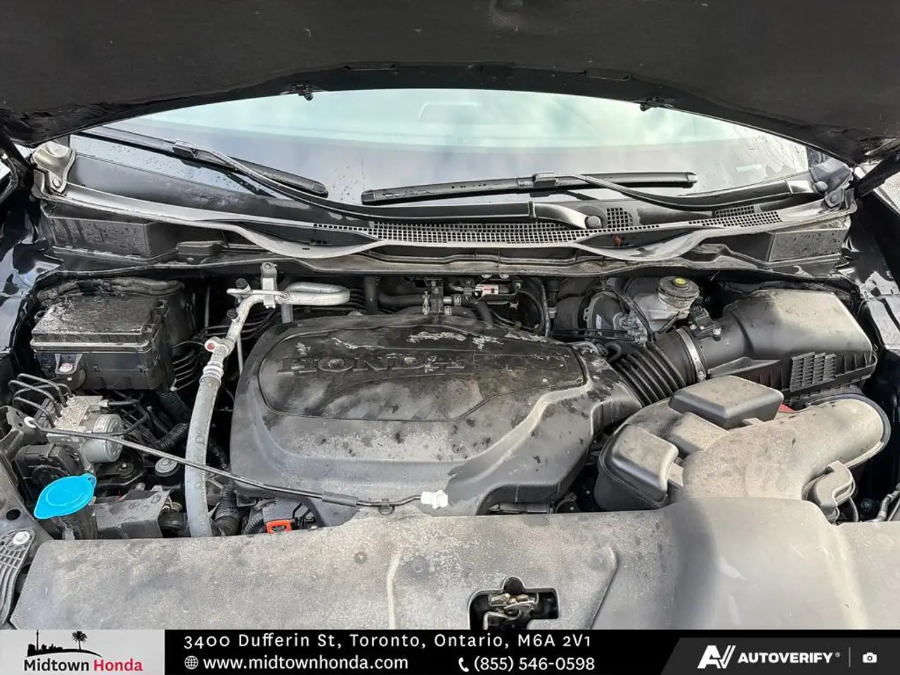 Honda Odyssey снимка Honda Odyssey