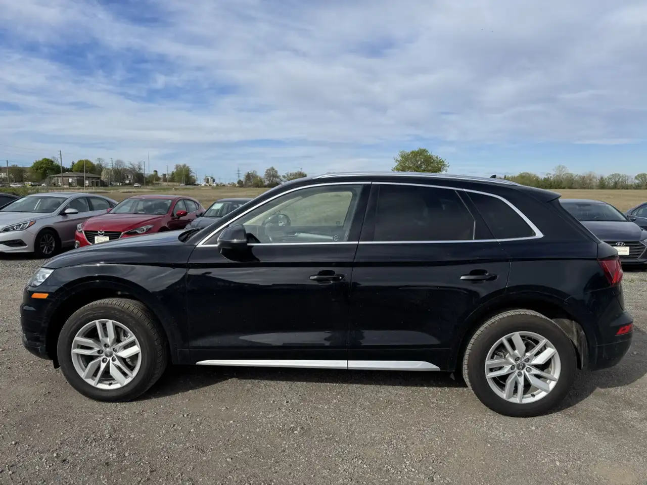Audi Q5 photo Audi Q5