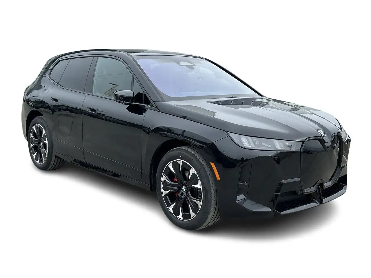 2026 BMW iX